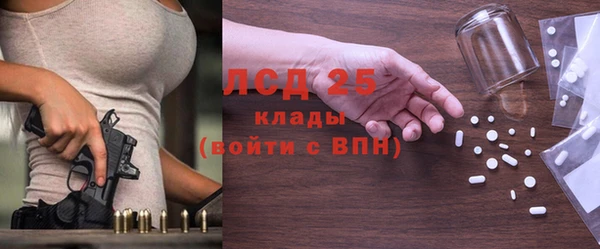 дмт Богданович