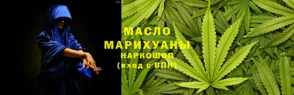 дмт Богданович
