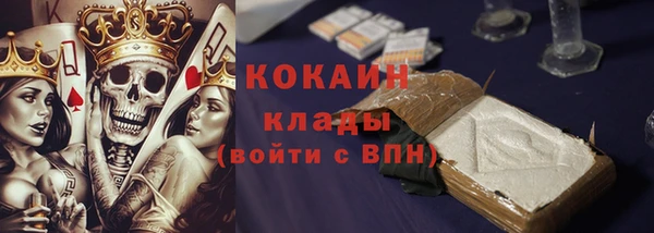 дмт Богданович