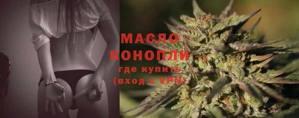 дмт Богданович