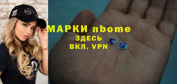 стаф Богородск