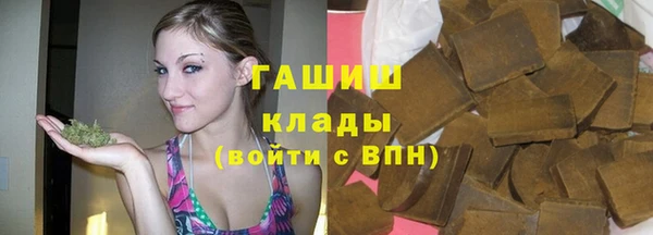 стаф Богородск
