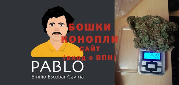 стаф Богородск