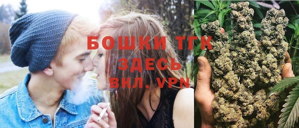 дмт Богданович