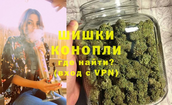 дмт Богданович