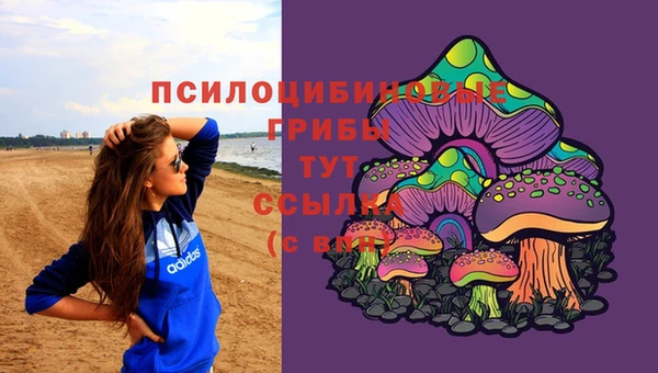 стаф Богородск