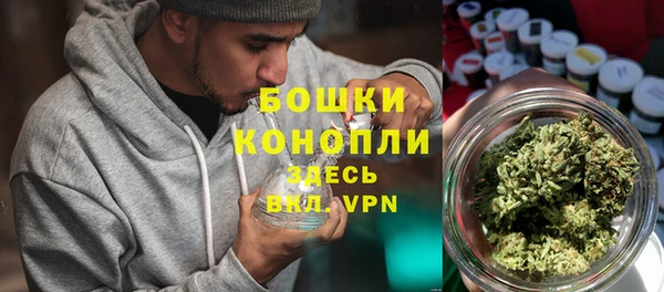 дмт Богданович