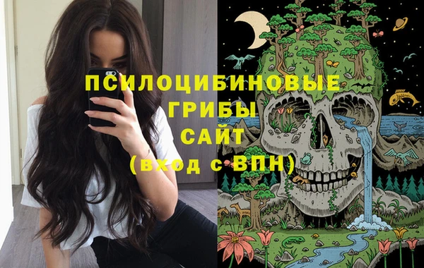 стаф Богородск
