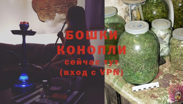 дмт Богданович