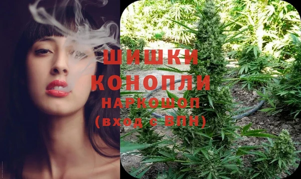 дмт Богданович