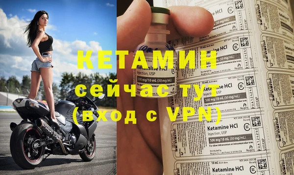 дмт Богданович