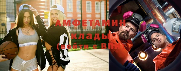 дмт Богданович