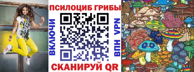 Галлюциногенные грибы GOLDEN TEACHER  нарко площадка клад  Кологрив 